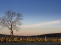 Aubrac: Lever de soleil