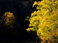 Gorges de l
