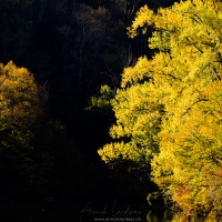 Gorges de l'Ain