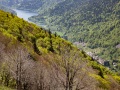 Vue sur le lac d'Altheinweiher