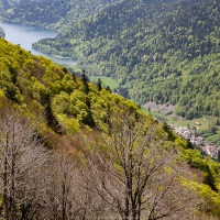 Vue sur le lac d'Altheinweiher