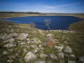 Aubrac: Lac de Saint-Andéol