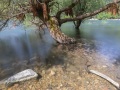 Lac de Kruth-Wildenstein