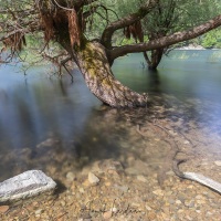 Lac de Kruth-Wildenstein