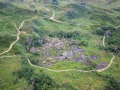 Survol en ULM: vestiges d'une forêt ravagée par les flammes