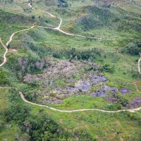 Survol en ULM: vestiges d'une forêt ravagée par les flammes