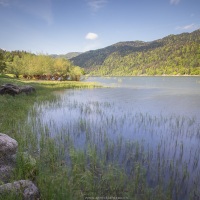 Lac de Kuth-Wildenstein