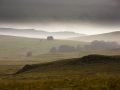 Paysage d