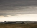 Paysage d