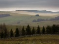 Paysage d