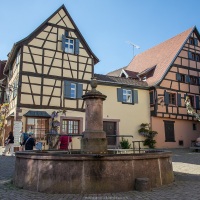 Riquewihr: fontaine et maison à colombages