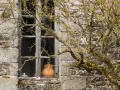 Aubrac: Ferme abandonnée