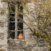 Aubrac: Ferme abandonnée