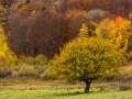 Couleurs d