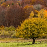 Couleurs d'automne