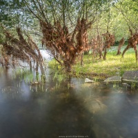 Lac de Kuth-Wildenstein