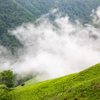 Pays basque: broullard sur les hauteurs