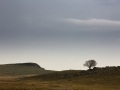 Paysage d