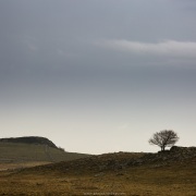 Paysage d'Aubrac par temps pluvieux