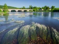 Pont sur la Dordogne