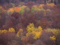Couleurs d