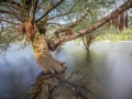 Lac de Kuth-Wildenstein