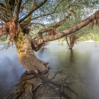 Lac de Kuth-Wildenstein