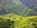 Pays basque: collines verdoyantes