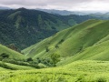 Pays basque: collines verdoyantes