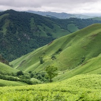 Pays basque: collines verdoyantes