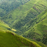 Pays basque: collines verdoyantes