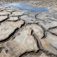 Salin asséché