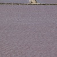 Les Salins de Giraud