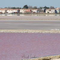 Les Salins de Giraud