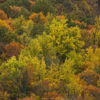 Couleurs d'automne