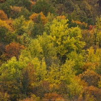 Couleurs d