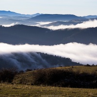 Brouillard matinal