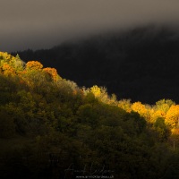 Eclairaage de fin de journée sur le grand Colombier