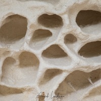 Détail de l