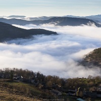 Brouillard matinal