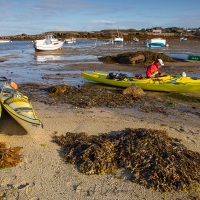 Avirons dans un petit port à marée basse