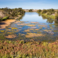 Ile de Noirmoutier: Marais salants