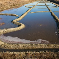 Ile de Noirmoutier: Marais salants