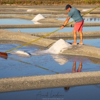 Ile de Noirmoutier: récolte de sel