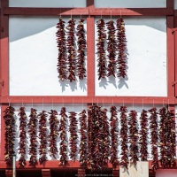 Au pays des piments