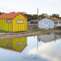 Ile d'Oléron: Cabanes d'ostréiculteurs à marée haute