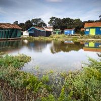 Fort Royer: cabanes d