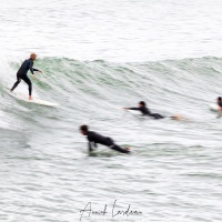 Surfers