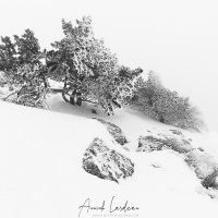 Mont Aigual: vent, neige et givre