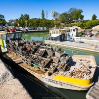 Le Château-d'Oléron: Barges d'huitres